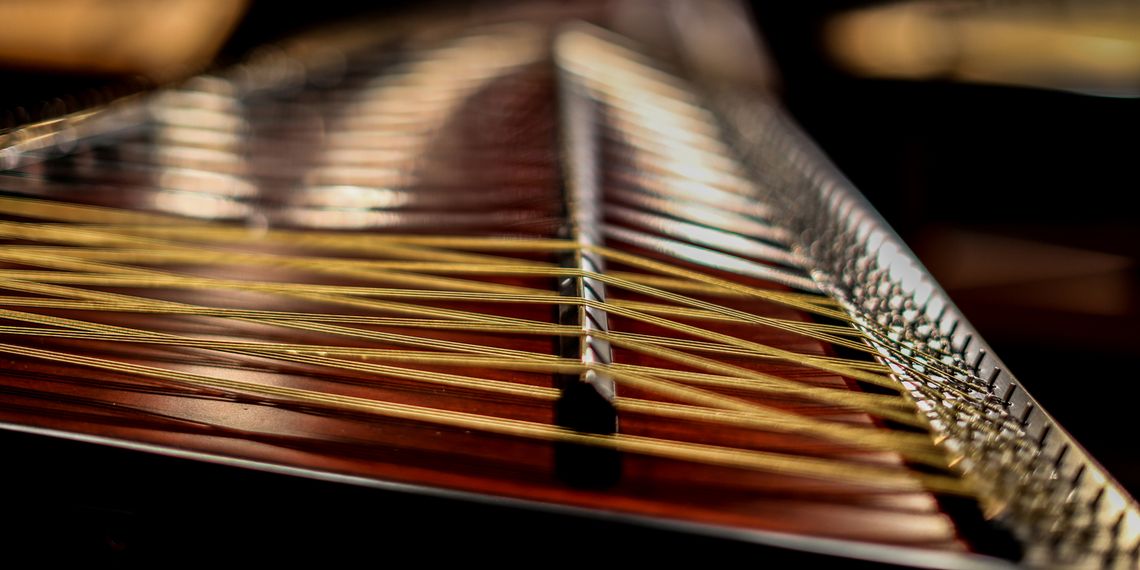 SAITENSPRÜNGE - Freyunger Hackbrett-Tage 2026