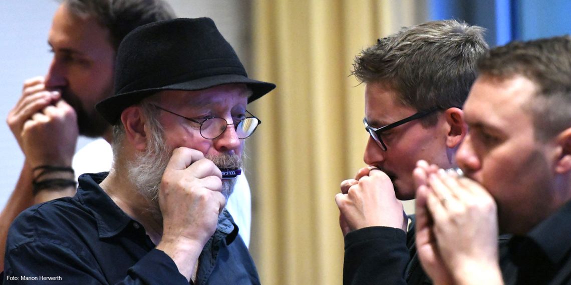 »Folk- und Countryharp«